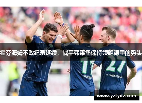 霍芬海姆不败纪录延续，战平弗莱堡保持领跑德甲的势头