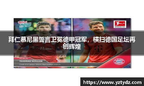 333体育官网