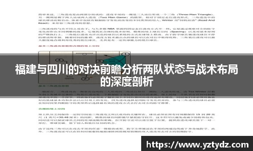 333体育官网