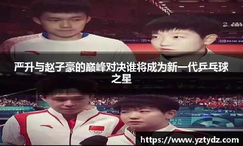 333体育官网