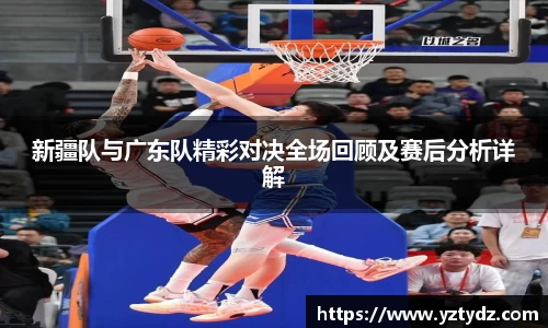 333体育官网