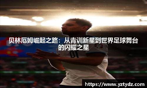 333体育官网
