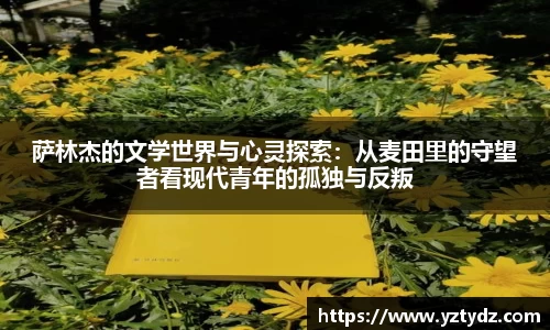 333体育