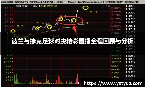 333体育官网