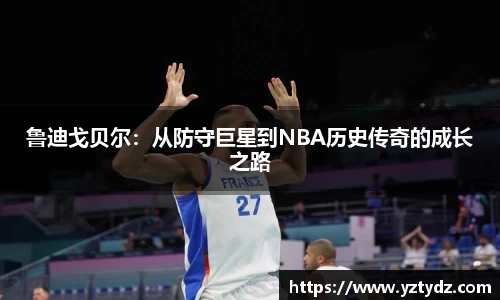 333体育平台