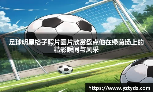 足球明星格子照片图片欣赏盘点他在绿茵场上的精彩瞬间与风采